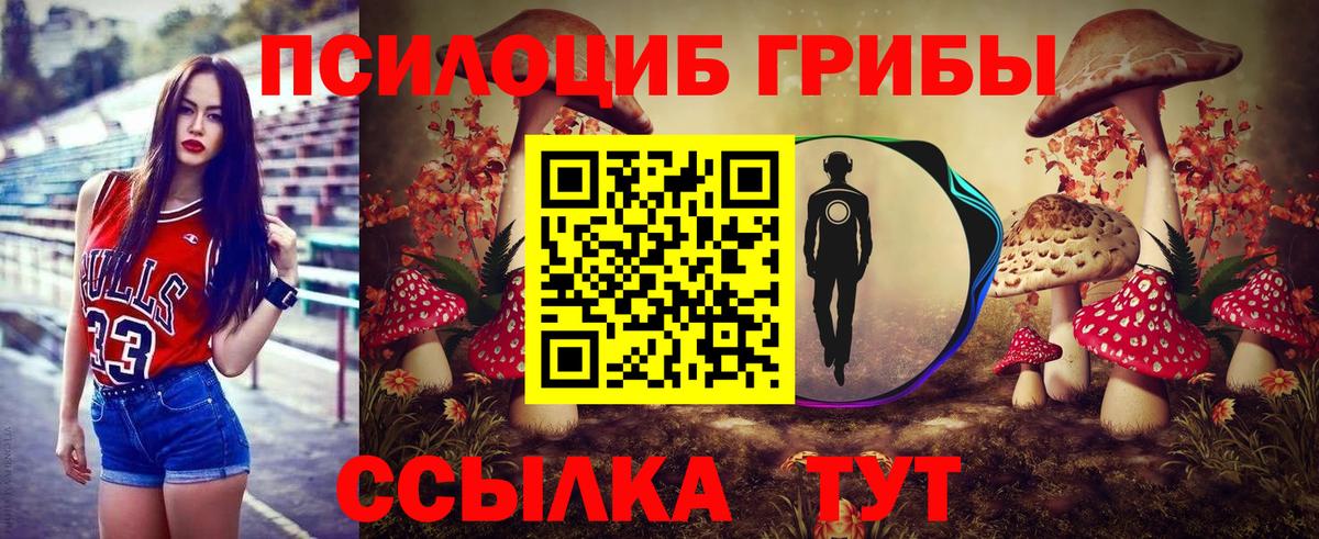 Псилоцибиновые грибы MAGIC MUSHROOMS Гусь-Хрустальный